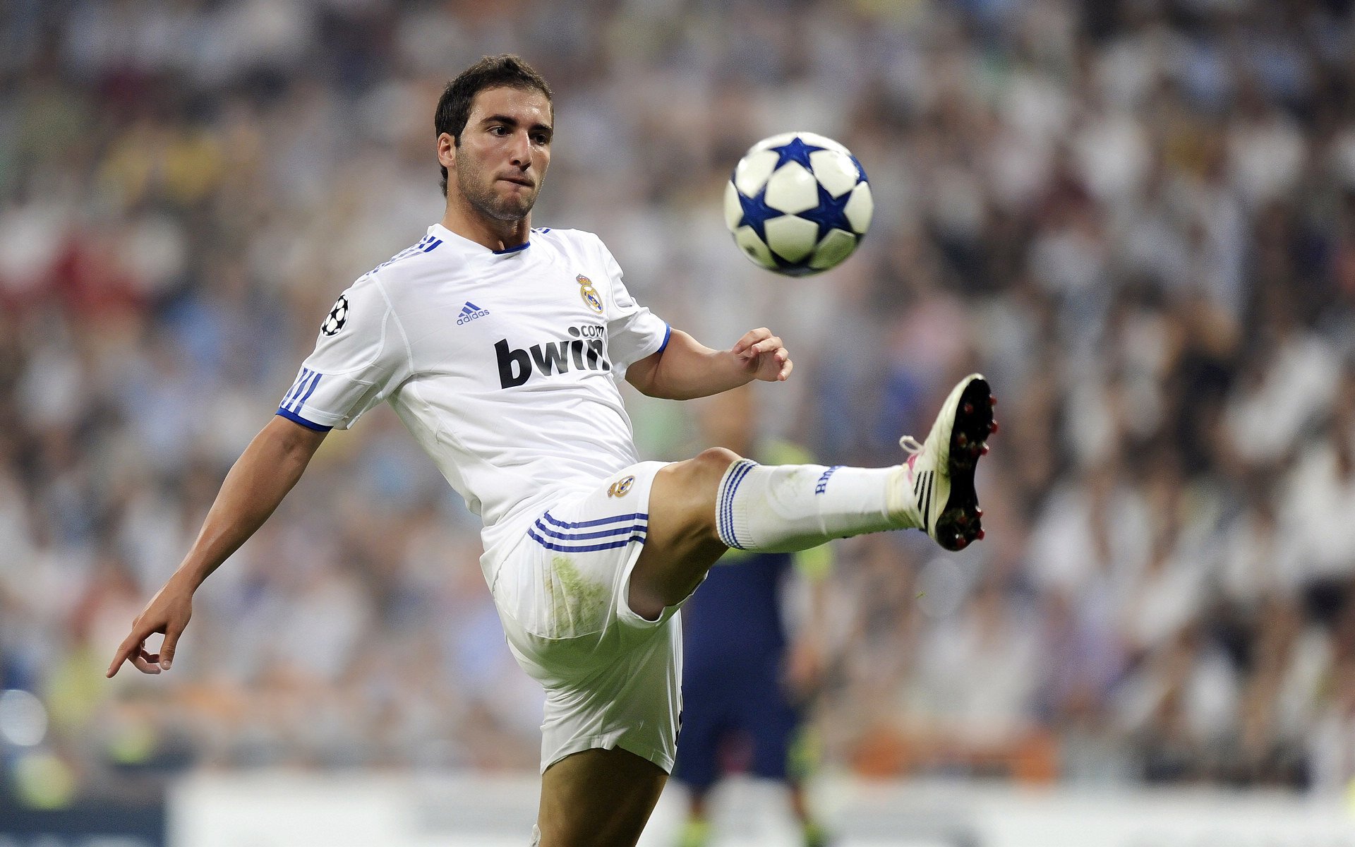 “宠物兔障碍越栏赛” 微型栏杆萌态十足